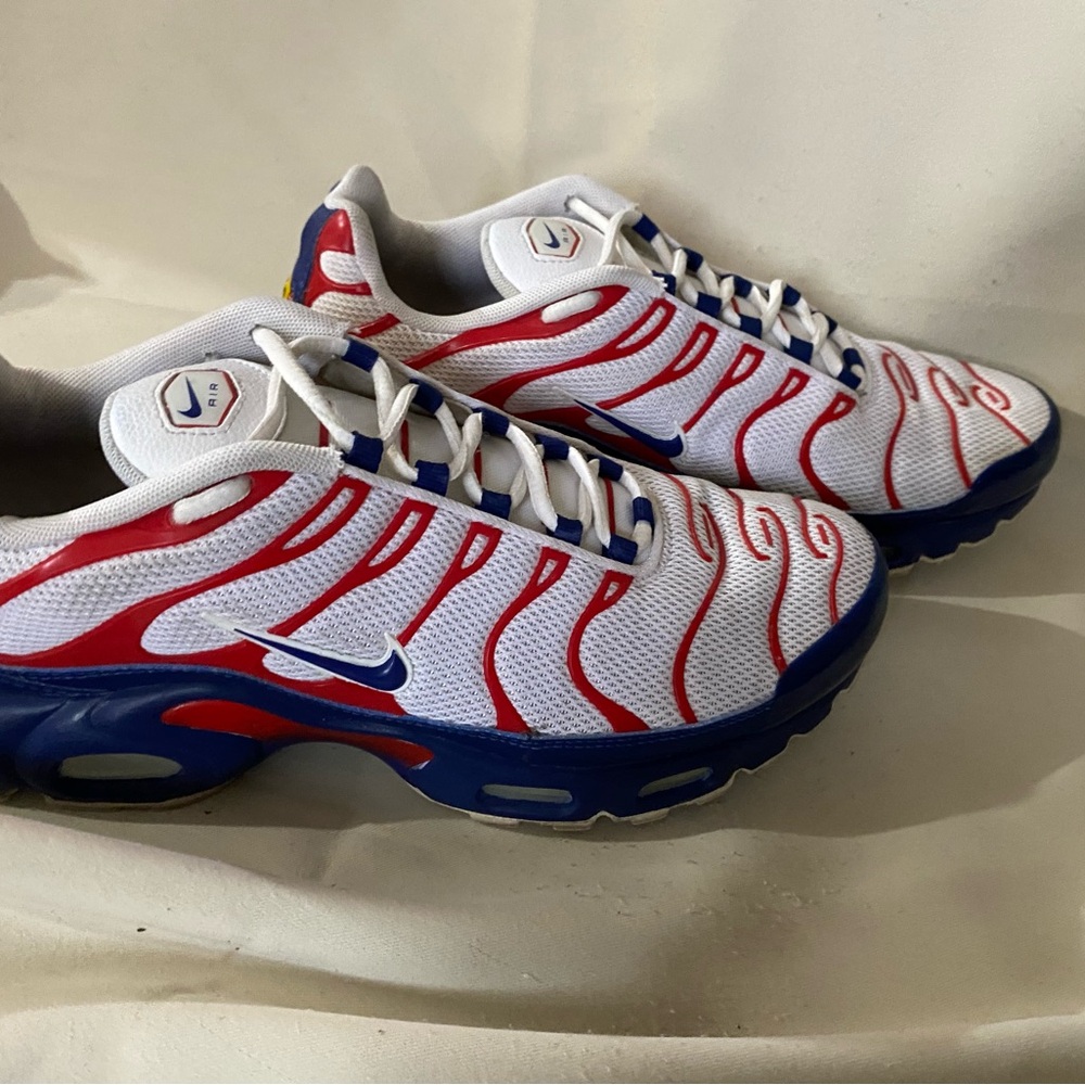 Nike Air Max Plus Red and Blue Sneakers